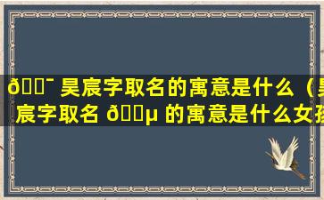 🐯 昊宸字取名的寓意是什么（昊宸字取名 🐵 的寓意是什么女孩）